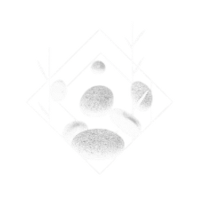 Şirket Logosu