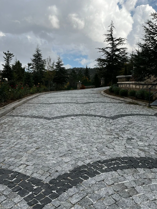 Afyon